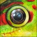 Augenblick eines Madagaskar-Taggeckos Acryl auf Leinwand;
30 x 30 cm